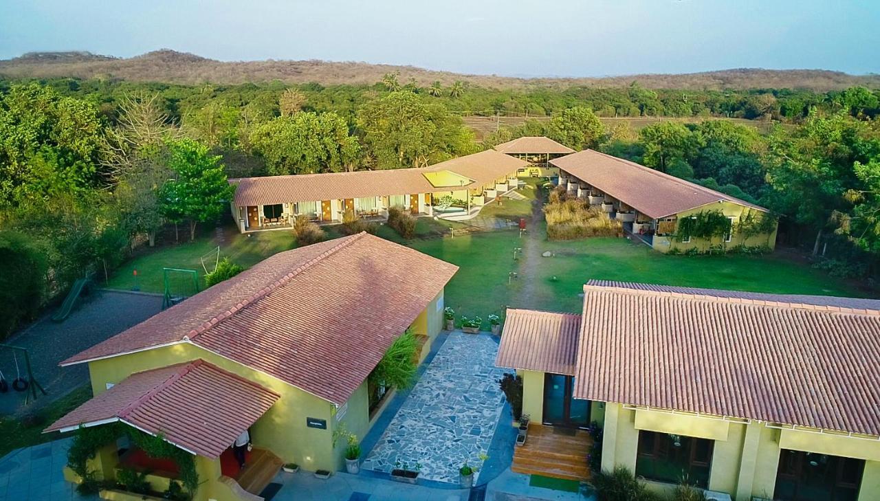 Asiatic Lion Lodge Sasan Gir Zewnętrze zdjęcie