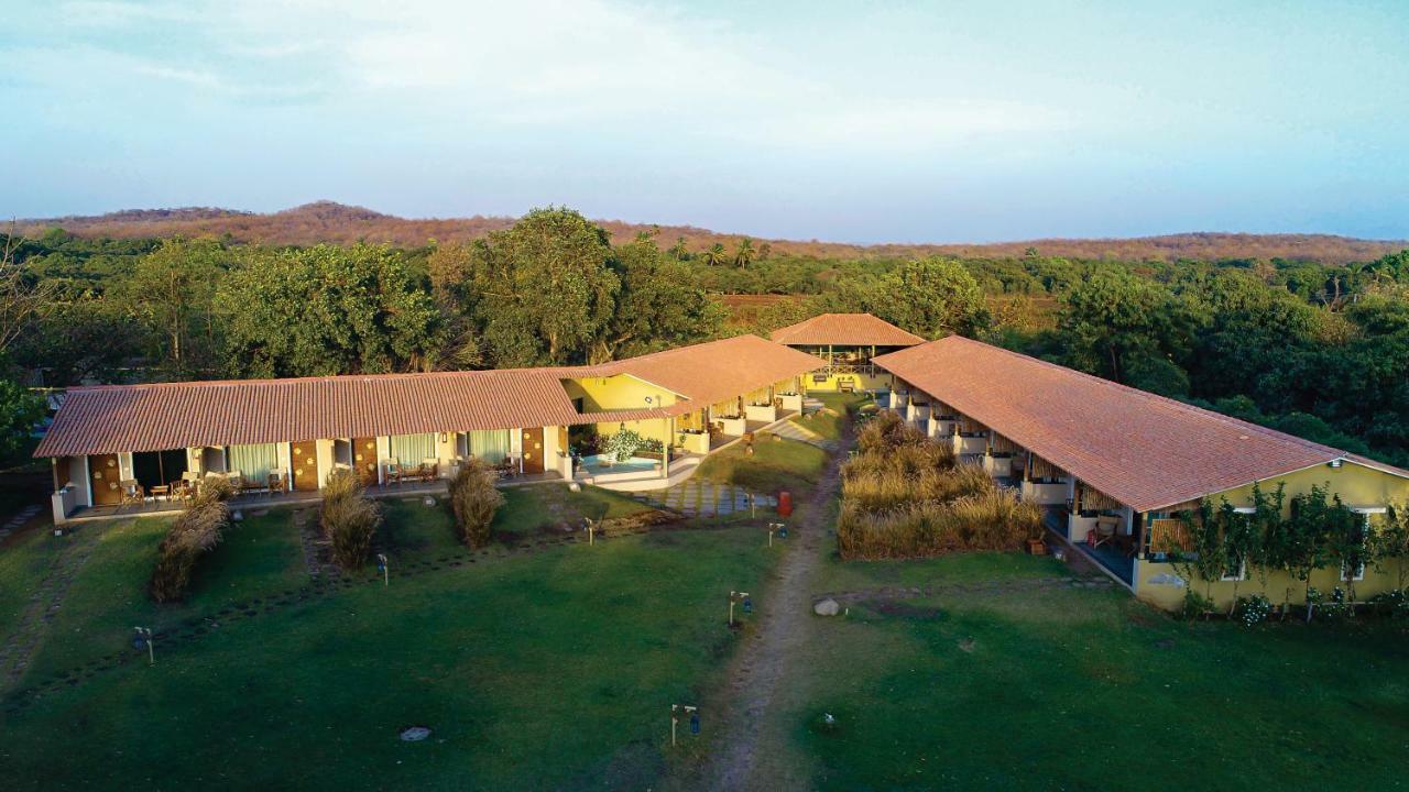 Asiatic Lion Lodge Sasan Gir Zewnętrze zdjęcie